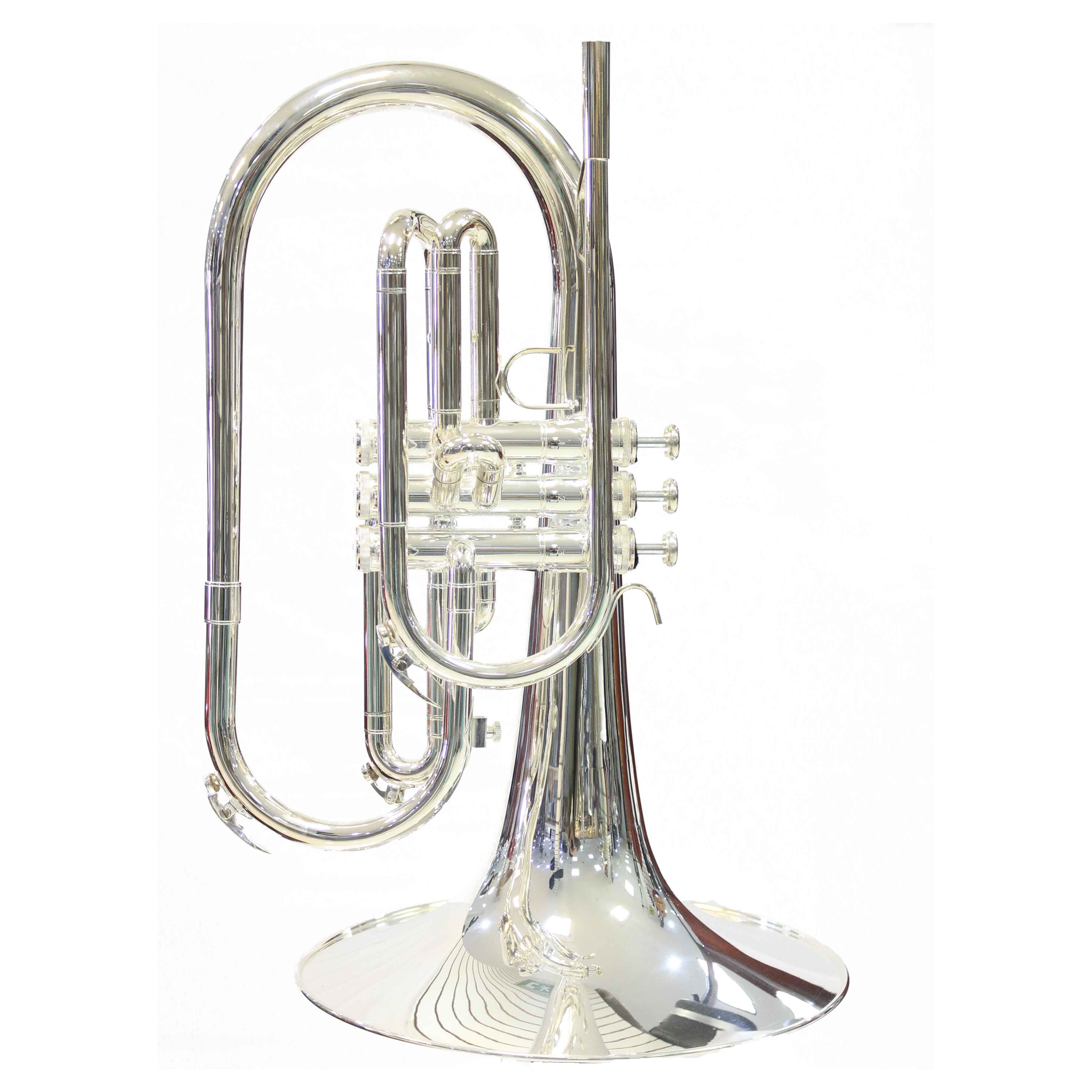 Electrónica 2001 / Melófono